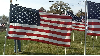 Thumbnail US Flag 2